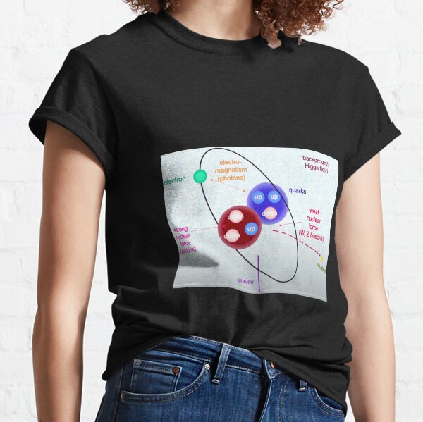 The laws of Physics underlying everyday life are completely known Classic T-Shirt