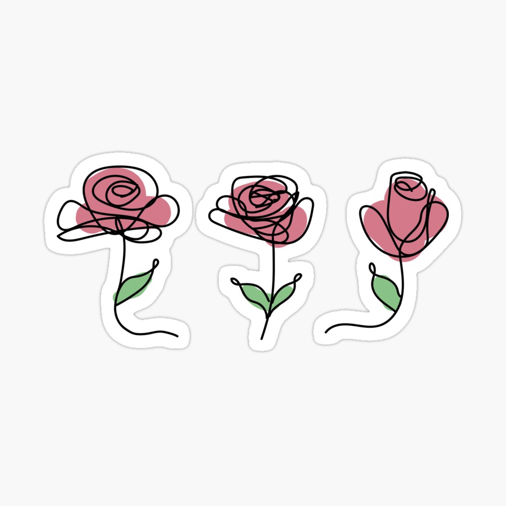 Coloured Rose Line Drawing Coloured Rose Line Drawing