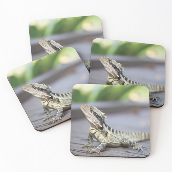 Item preview, Australian Water Dragon Reptile designed and sold by JNADesign.