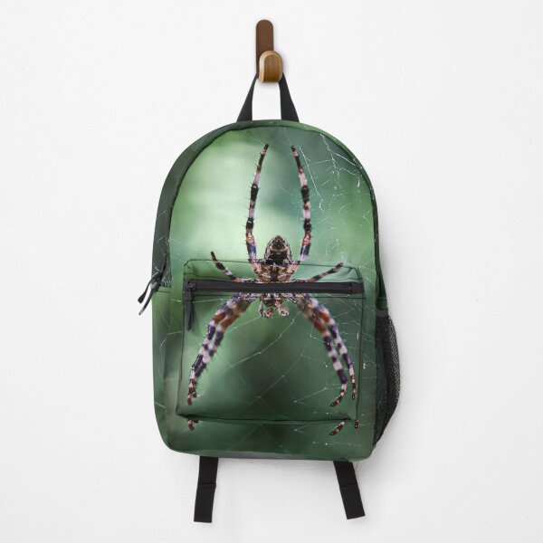 Item preview, Cross Spider Macro on the Web - Cute Spiders Gifts designed and sold by r-silver.