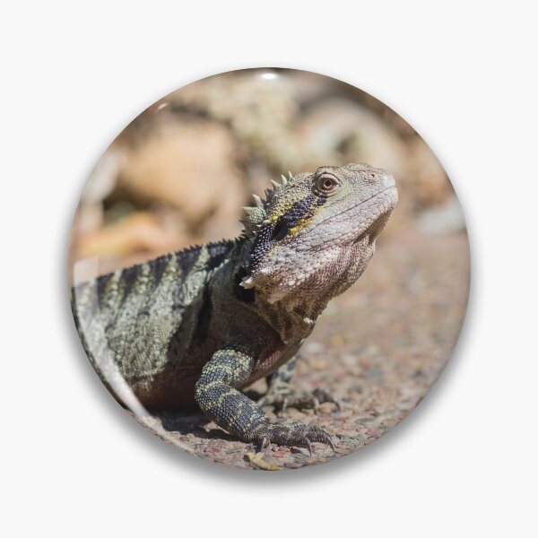 Item preview, Gorgeous Australian Water Dragon Reptile designed and sold by JNADesign.