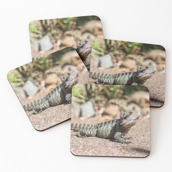 Item preview, Gorgeous Australian Water Dragon Reptile designed and sold by JNADesign.