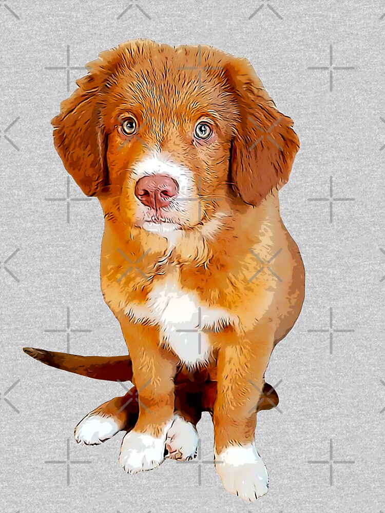 does the nova scotia duck tolling retriever love children