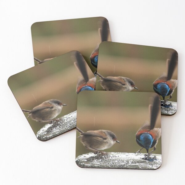 Item preview, Splendid Wrens designed and sold by Rosdenphoto.
