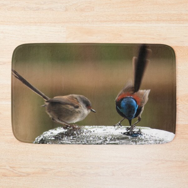 Item preview, Splendid Wrens designed and sold by Rosdenphoto.