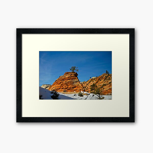 Perseverance Framed Art Print