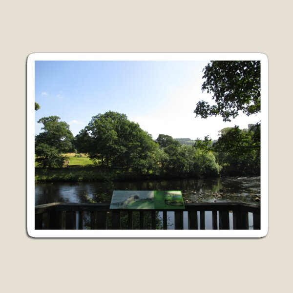 Merch #93 -- Chesters Bridge Board - Distant Shot (Hadrian's Wall) Magnet