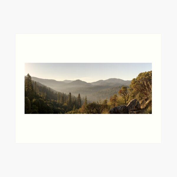 Yosemite National Park Forest Art Print