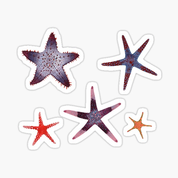 Item preview, STARFISHES PATTERN designed and sold by BEATRIZ ABAITUA.