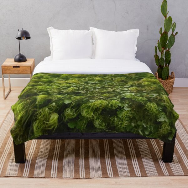 Item preview, Mossy Day designed and sold by JackNRum.