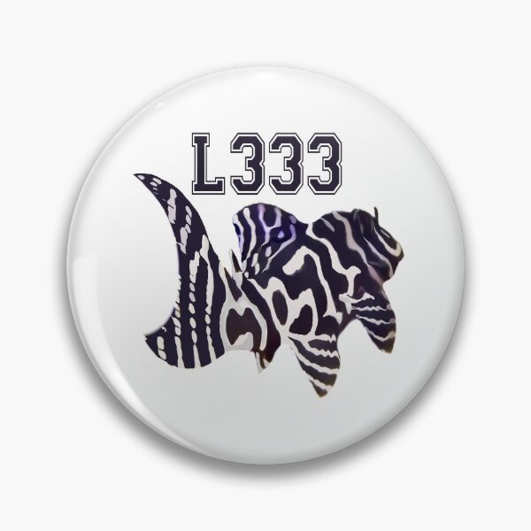 Item preview, L333 Hypancistrus Pleco designed and sold by GFishy.