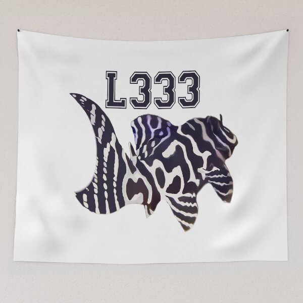 Item preview, L333 Hypancistrus Pleco designed and sold by GFishy.