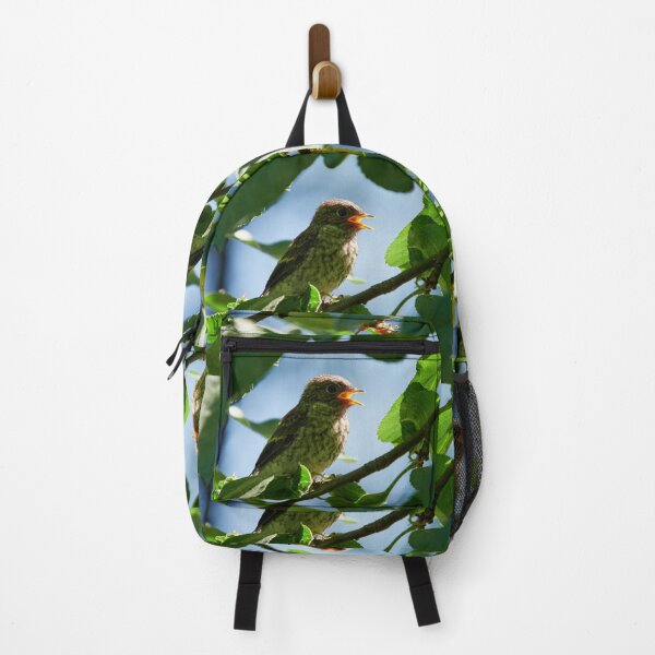 Item preview, Mama can you hear me. Young European pied flycatcher designed and sold by Jouko Lehto Photography.
