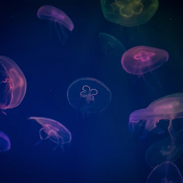 Artwork thumbnail, Deep blue by Basic310