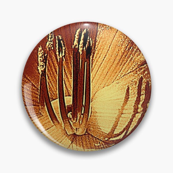 Item preview, Universal designed and sold by Jean Gregory Evans.