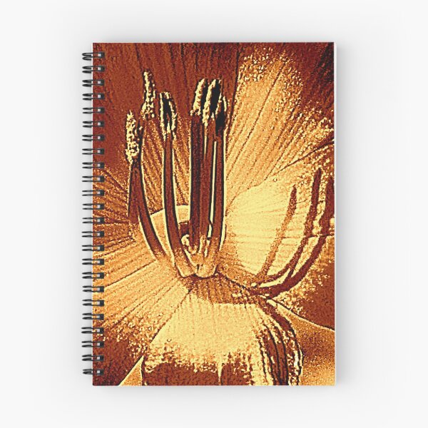 Item preview, Universal designed and sold by Jean Gregory Evans.