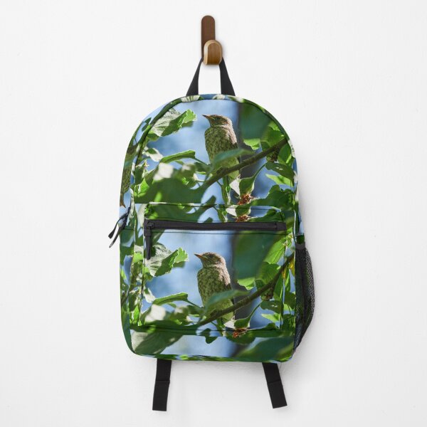 Item preview, So this is the world. Young European pied flycatcher designed and sold by Jouko Lehto Photography.