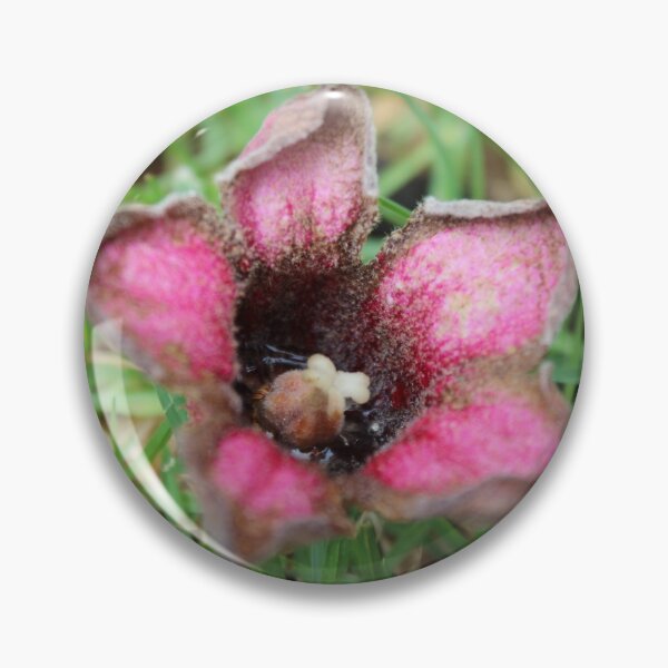 Item preview, Dark pink bloom designed and sold by lolla-doesstuff.