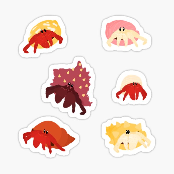 Colorful Hermit Crab Sticker