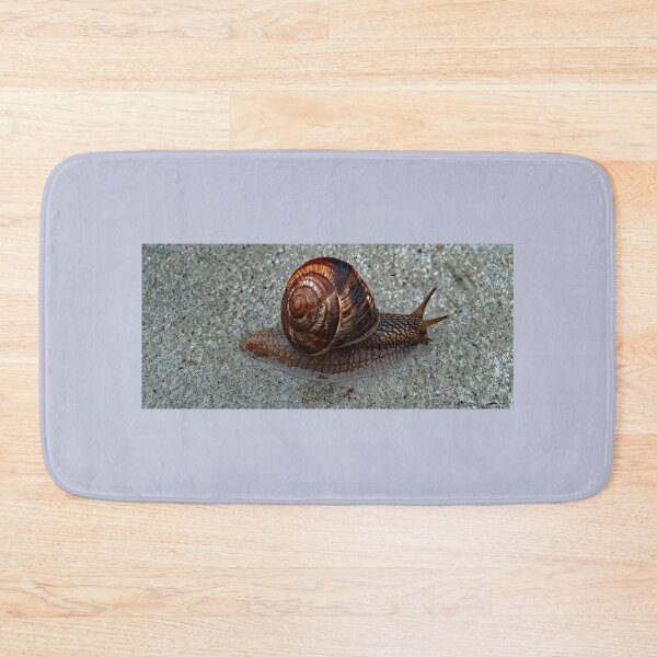 Item preview, garden snail (helix aspera) designed and sold by Luci3120.