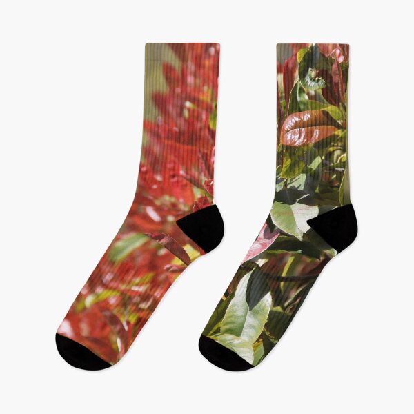 Item preview, Photinia tree fresh red leaves springtime	 designed and sold by EstelleRossetti.