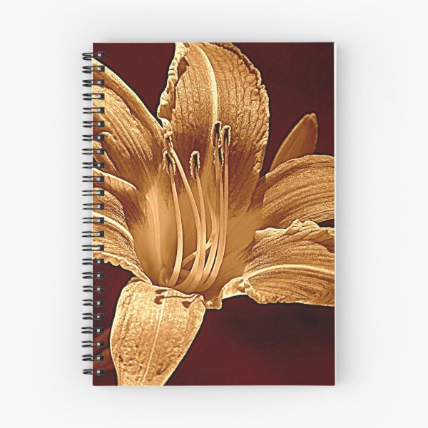 Item preview, Understood designed and sold by Jean Gregory Evans.