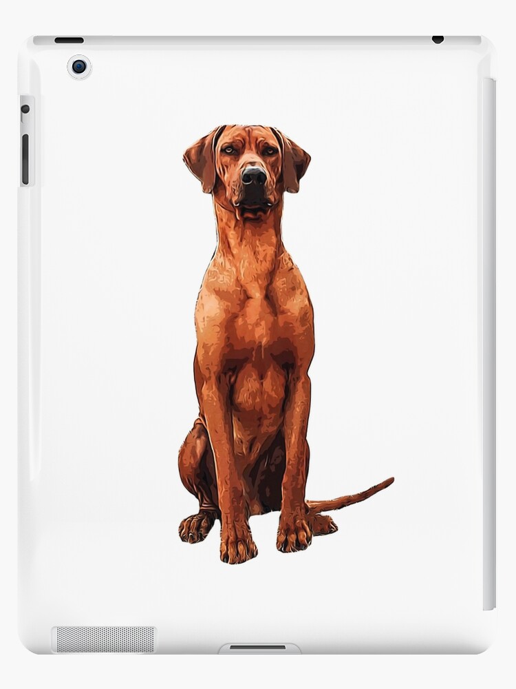 Funda y vinilo para iPad « La raza de perro Rhodesian Ridgeback es una raza  muscular hermosa. Son excelentes mascotas y son amados por muchos dueños de  mascotas Rhodesian Ridgeback en todo