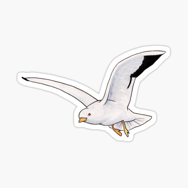 Seagull Sticker