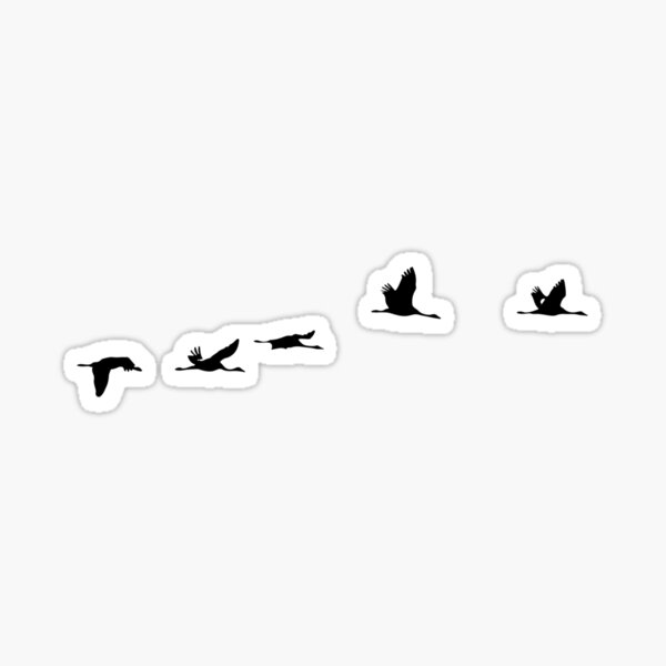 Migratory Bird Stickers - The Art of Ecology