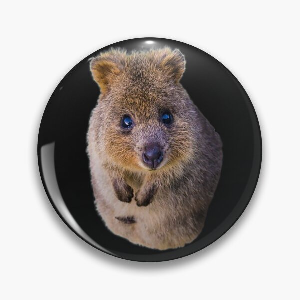 Artikelvorschau, Quokka-Tiere entworfen und verkauft von BENAZCOMPANY.