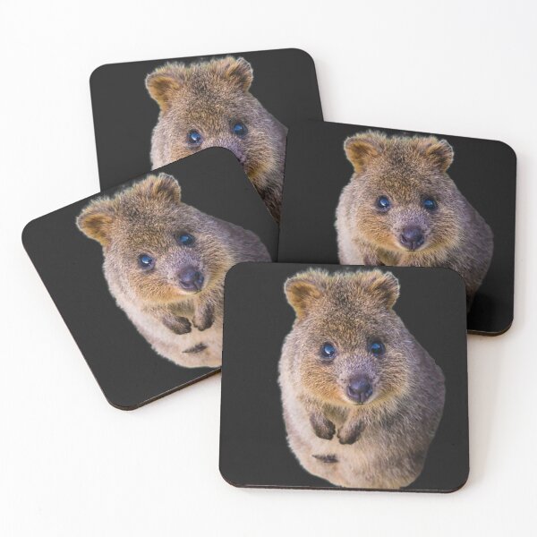 Item preview, quokka  designed and sold by BENAZCOMPANY.