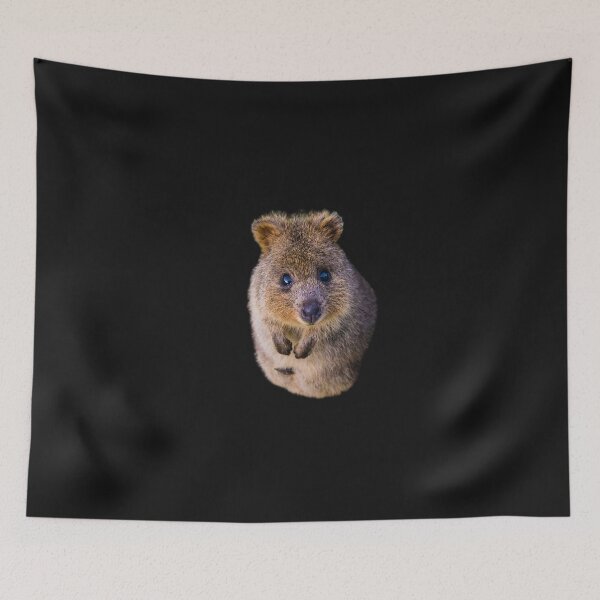 Item preview, quokka  designed and sold by BENAZCOMPANY.