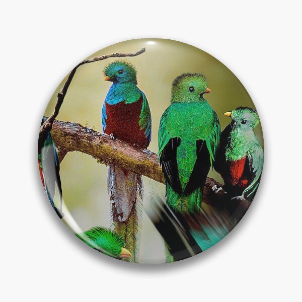 Item preview, Quetzal designed and sold by MaxencePierrard.