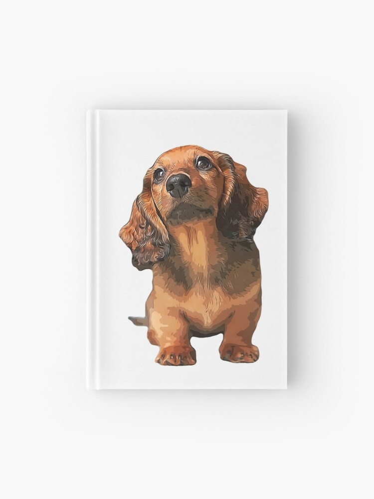 Puppy Dachshund Long Sale Haired Mini Hardcover Elarex Redbubble for by Red Dog\
