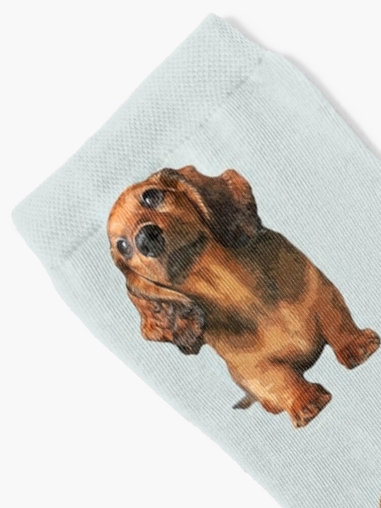 Calcetines personalizados para mascotas, calcetines para perros, calcetines  para cachorros, regalo para amantes de los perros