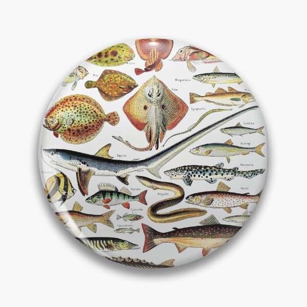 Item preview, Vintage Adolphe Millot 'Poissons' Sea Fish  designed and sold by shufti.