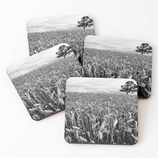 Item preview, Earn Your Corn designed and sold by Paul Thompson Photography.