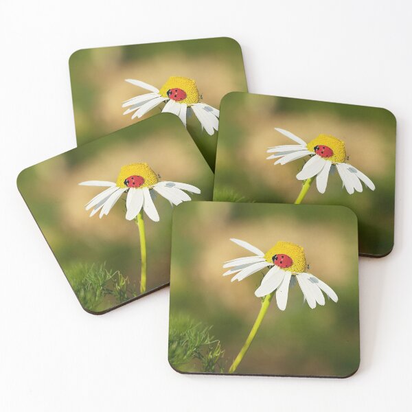 Item preview, Francis designed and sold by Fay Freshwater.