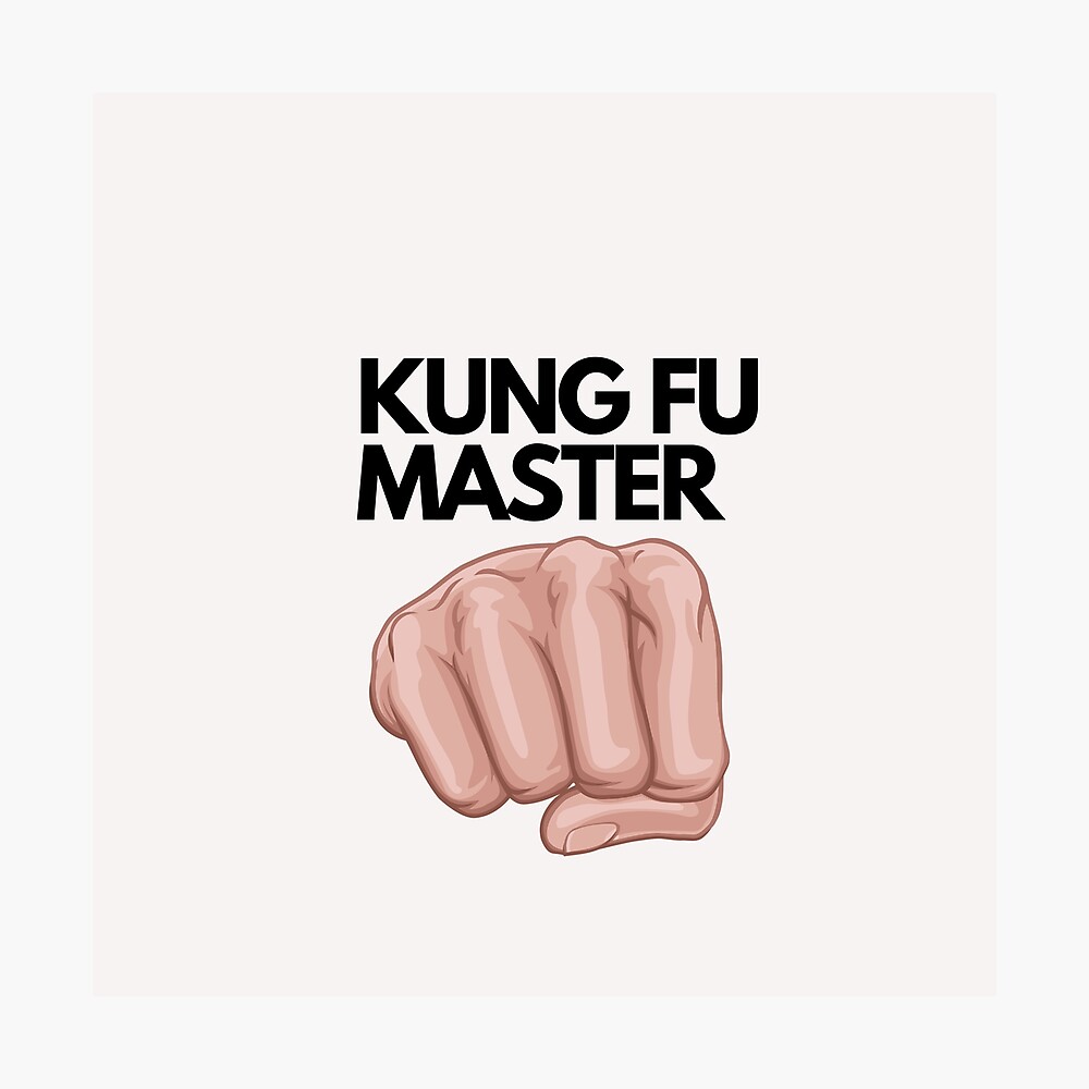 Kung Fu Master Funny KungFu Master 