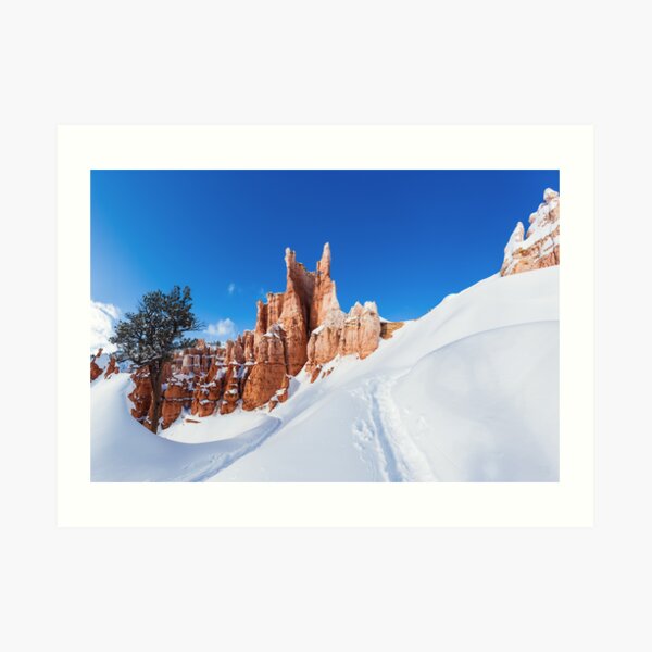 Bryce Tree Surfing Art Print