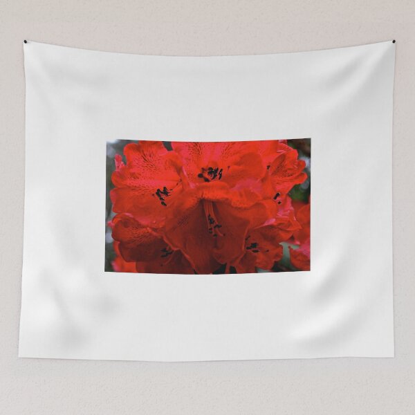 Item preview, Garden Flowers of Castle Douglas, Isle of Arran, Scotland designed and sold by Phillip Arron McKenzie.