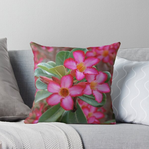 Item preview, Flowers of Castle Douglas, Isle of Arran, Scotland. designed and sold by Phillip Arron McKenzie.