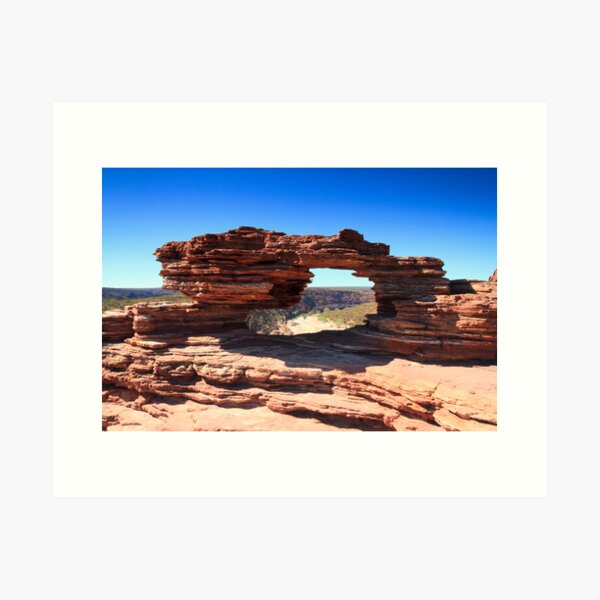 Item preview, Natures Window designed and sold by Nigel Donald.