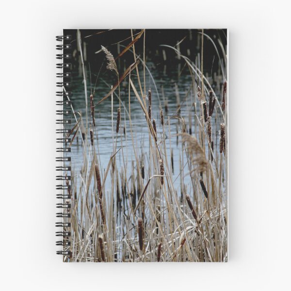 Item preview, Madine lake natural reeds landscape	 designed and sold by EstelleRossetti.