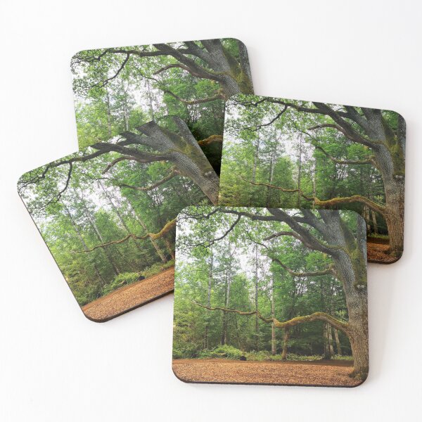 Item preview, Beautiful old tree designed and sold by vororoshop.