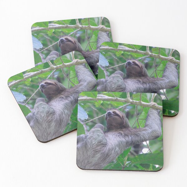 Item preview, Three Toed Sloth Climbing designed and sold by SafariByMarisa.