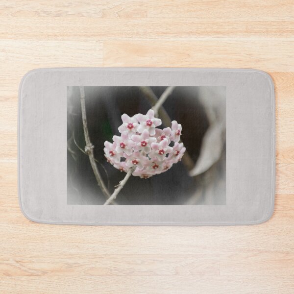 Item preview, Star-Upon-Star II (Hoya carnosa) designed and sold by Kerryn Madsen-Pietsch.