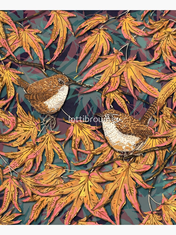Garden Wrens by lottibrown