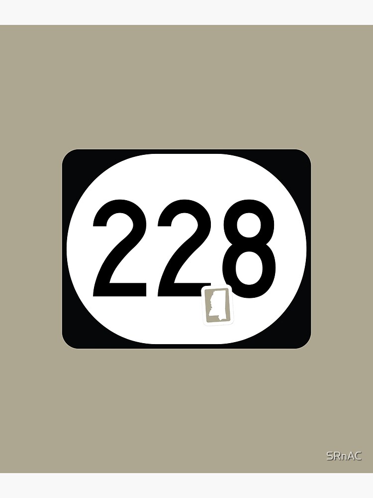 Mississippi State Route 228 (Area Code 228) | Poster