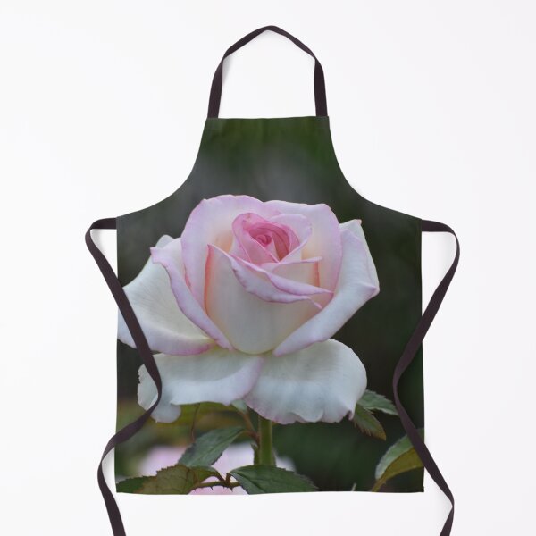 Item preview, Pale Pink Rose designed and sold by ReneeKennedy.